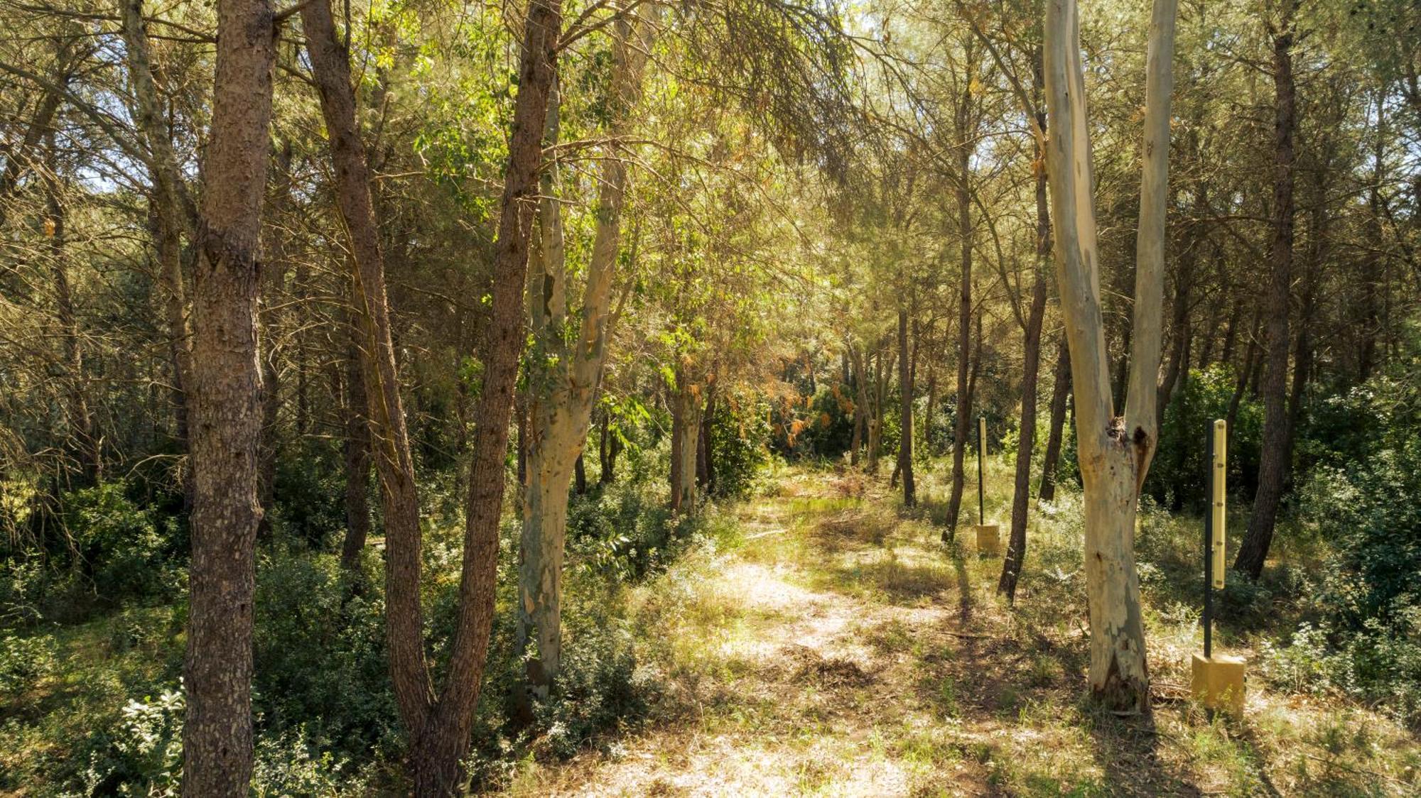 Dependance - Lequile - Alfa Country House מראה חיצוני תמונה